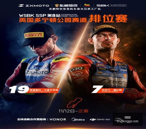 独家解析,阿根廷征程,回顾,尊龙凯时,尊龙娱乐,在线娱乐平台,高端娱乐,尊龙注册,尊龙官网,尊龙游戏,尊龙优惠,尊龙会员,在线赌场,尊龙手机客户端,尊龙平台