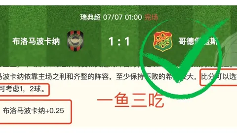 2026最新解析：比分，格局洞察指南